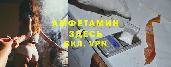 прущие грибы Абинск
