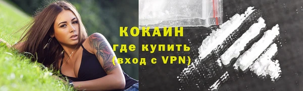 прущие грибы Абинск
