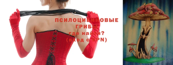 гидропоника Абаза