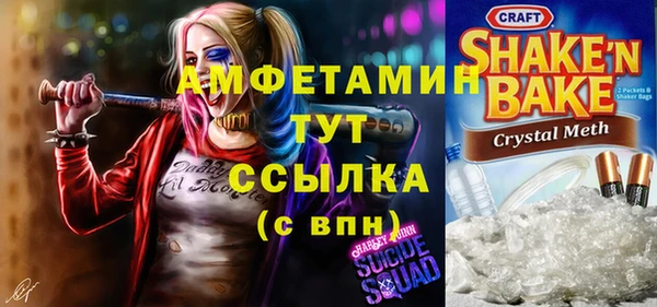 прущие грибы Абинск