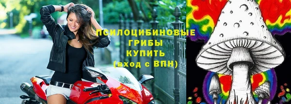 а пвп мука Абдулино