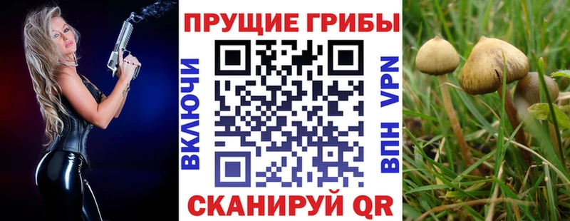 Галлюциногенные грибы мицелий  Новопавловск 